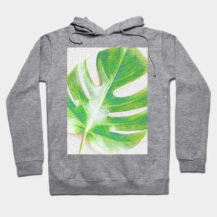 Green Delicious Monster Leaf Hoodie